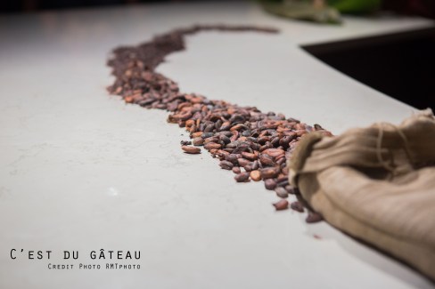 Valrhona - Cité du chocolat